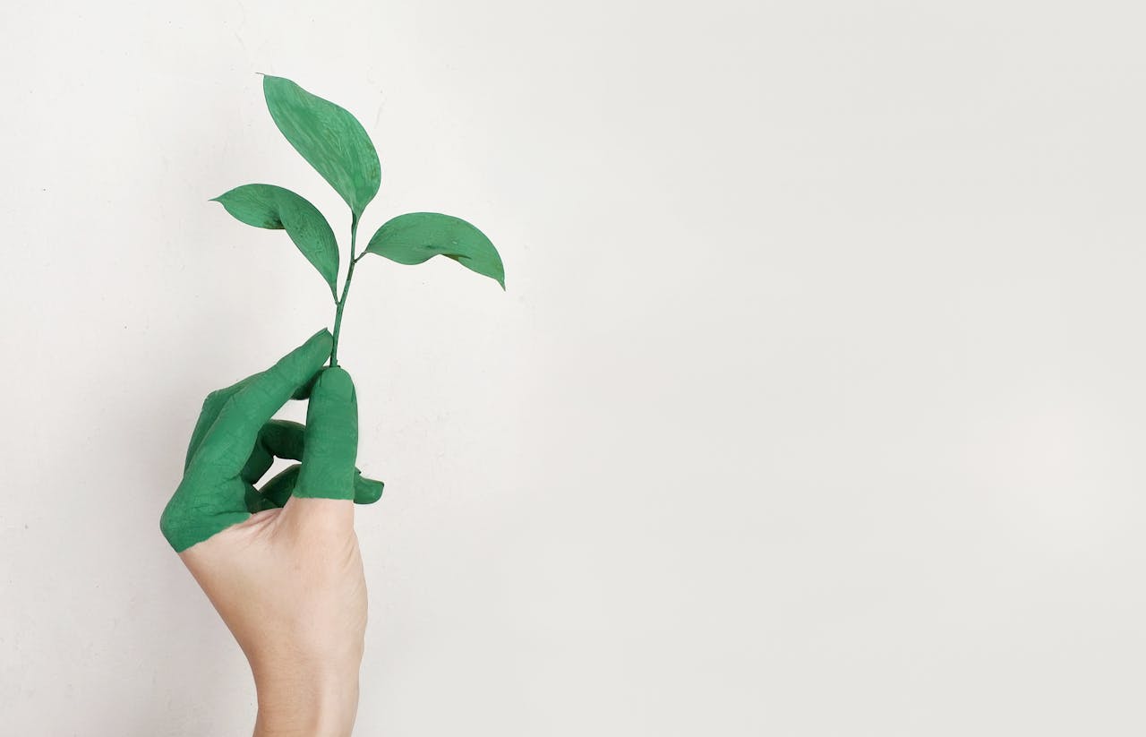 Integrant la Psicologia i l’Ambientalisme: Abordant els Desafiaments del Medi Ambient des de la Perspectiva Interdisciplinària